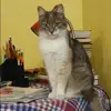 Отзыв от Инна Агеева